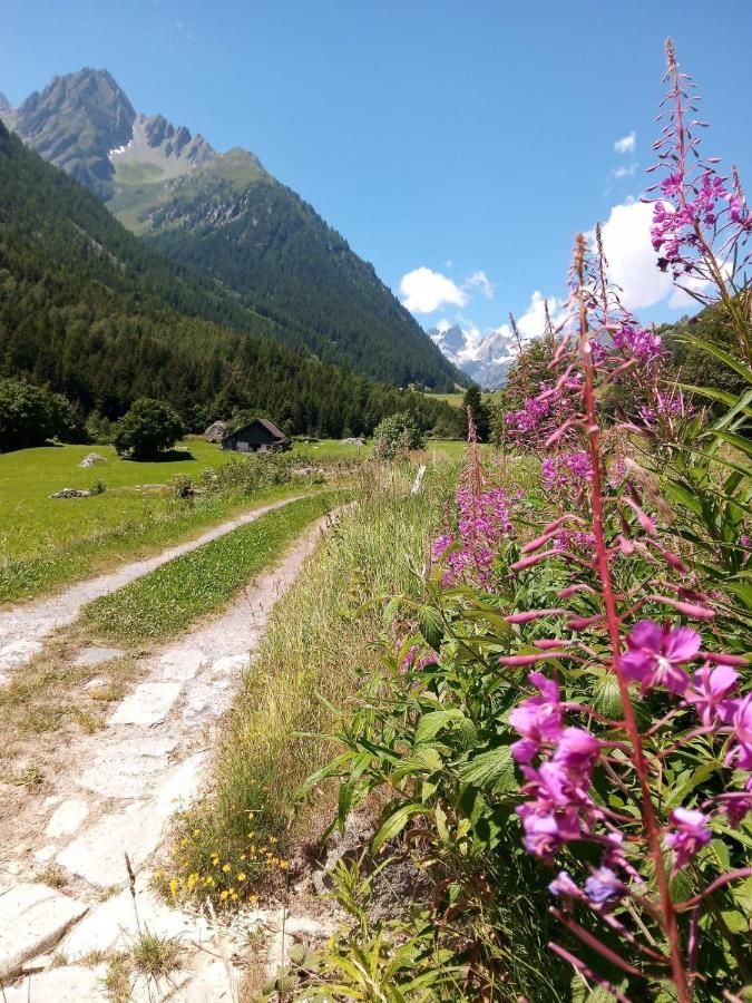 Хостел Gotthard Backpacker Вассен Екстер'єр фото