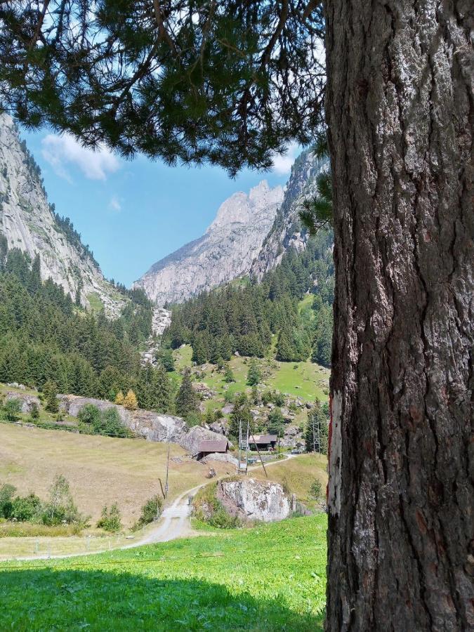 Хостел Gotthard Backpacker Вассен Екстер'єр фото